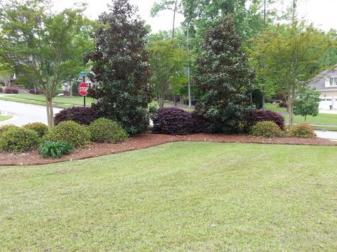 Great landscaping idea for a corner Corner Landscaping, Privacy Landscaping, Landscaping Front Yard, Corner Garden, Front Landscaping, Garden Shrubs, Lawn And Landscape, Home Landscaping, Corner Lot