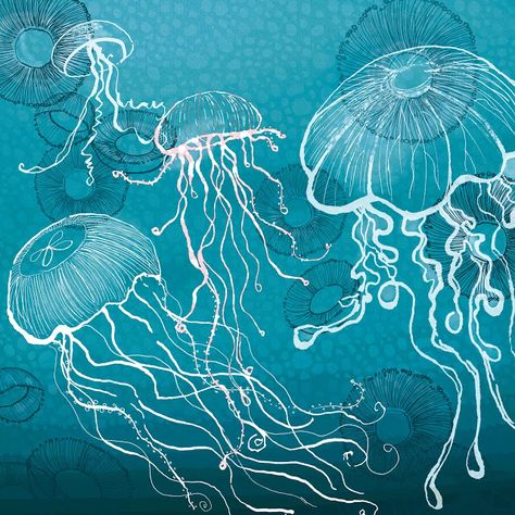 Sealife Art, Jellyfish Photography, Jellyfish Illustration, Jellyfish Drawing, Jellyfish Painting, Jellyfish Art, Sea Life Art, Posca Art, 수채화 그림