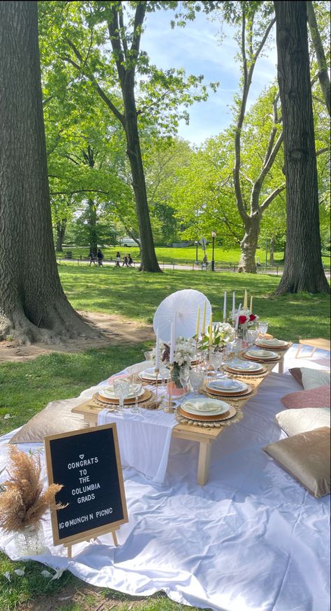 Aesthetic Picnic Setup, Grad Picnic Ideas, Senior Picnic Ideas, Convo Aesthetic, Graduation Party Tablescapes, Whimsical Graduation Party, Small Grad Party Ideas, Graduation Picnic Ideas, Picnic Business Ideas