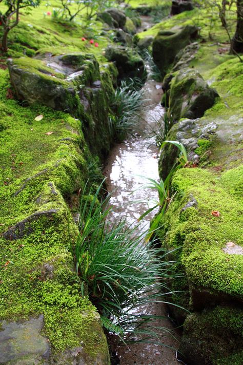 Small Stream In Garden, Natural Stream Landscaping, Stream In Garden, Stream Landscaping, Backyard Stream, Garden Stream, Ginkakuji, Streams Of Water, Garden River