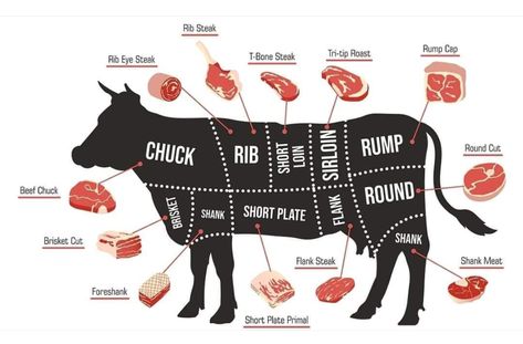 Beef Cuts Diagram, Beef Shoulder Roast, Cow Meat, Ground Beef And Cabbage, Beef Cow, Hanger Steak, Shoulder Roast, Roast Beef Sandwiches, T Bone Steak