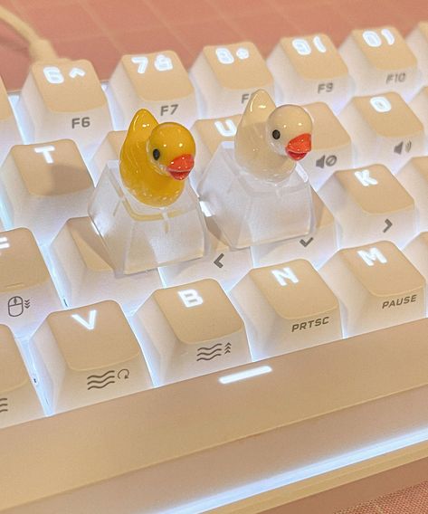 Rubber duck bathroom