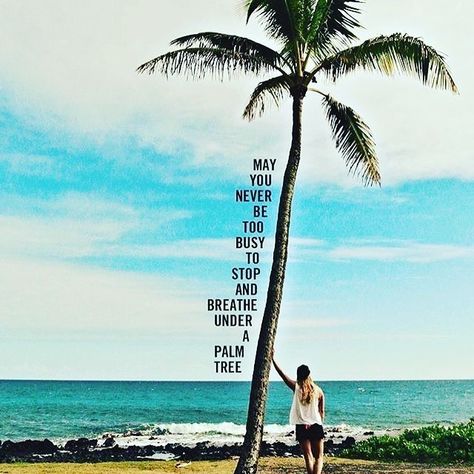 May you never be too busy to breath under a palm tree 🌴💕💕💕💕. #tropicalvibes #onthebeach #beachlife #lifesabeach #beachdays #summervibes #summerlovin #beachstyle #beachdaze #beachday #islandlife #beachlover #beachvibe #oceanholic #paradisebeach #beachin #tropical #beachside #bodygoals #beachplease #sunnybeach #beachlovers #beachlove #beachtime #oceanside Palm Tree Quotes, Paradise Quotes, Tree House Interior, Tree Quotes, Body Shop At Home, Hair Removal Devices, Dark Tree, Beach Please, Summer Quotes