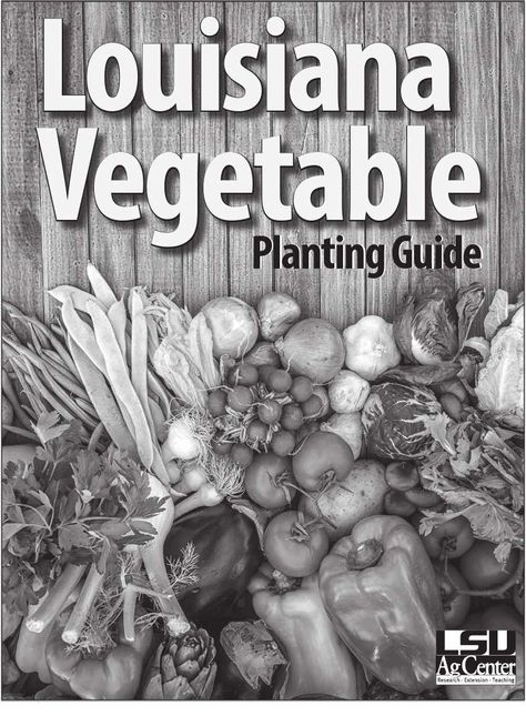 LSU-Ag Planting Guide | PDF | Vegetables | Fertilizer Garden Planting Guide, Fall Vegetables To Plant, Spring Vegetable Garden, Vegetable Planting Guide, Vegetable Planting, When To Plant Vegetables, Planting Guide, Garden Layout Vegetable, Home Grown Vegetables