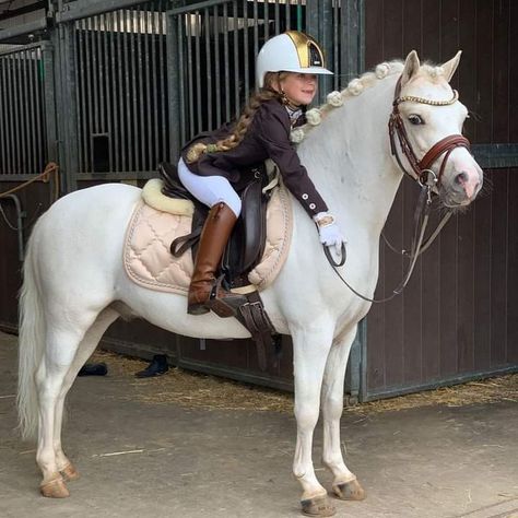 Pony Dressage, Horse Riding Aesthetic, Show Jumping Horses, Pony Rider, Beautiful Horses Photography, Equestrian Aesthetic, Cute Horse Pictures, Horse Riding Clothes, Funny Horses