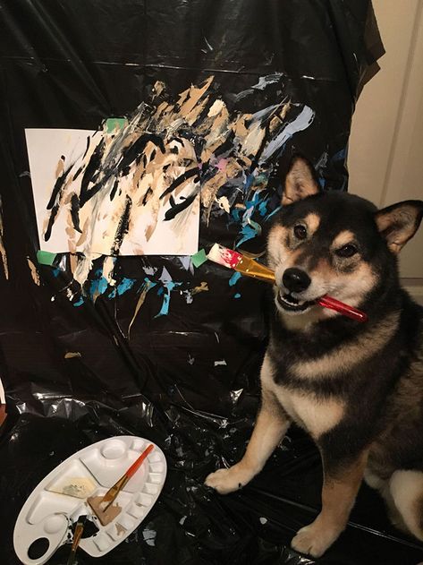 Owners Teach Their Shiba Inu To Paint, Sell Paintings Worth ~$5000 Painting Meme, Welcome To The Internet, Animal Painter, Doggie Treats, Sell Paintings, Shiba Inu Dog, Selling Paintings, Art Therapy Activities, Lovely Creatures