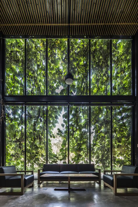 Image 3 of 40 from gallery of DESINO Eco Manufactory Office / Ho Khue Architects. Photograph by Hiroyuki Oki Green Building, Create Happiness, Green Facade, Biophilic Design, Green Architecture, Facade Design, Beautiful Buildings, Green Wall, Vertical Garden