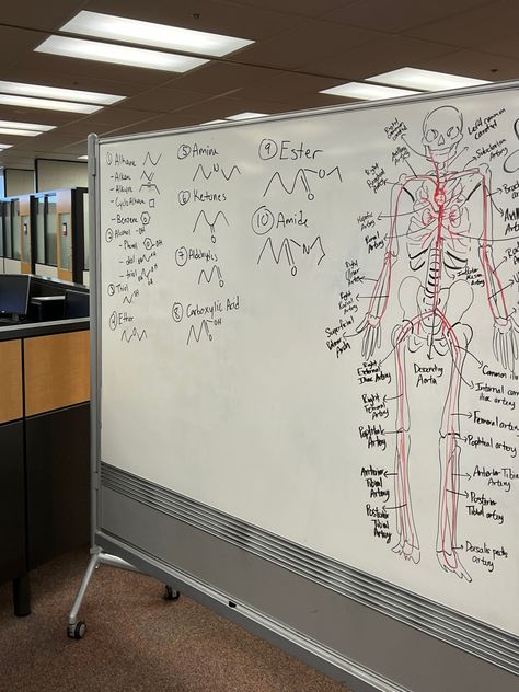 Kinesiology Student Aesthetic, Medical Internship Aesthetic, Medical Student Motivation, Medical School Life, Biomedical Science, Pharmacy School, Med School Motivation, Nurse Aesthetic, Nursing School Motivation