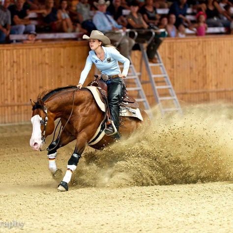 Horse Show Aesthetic Western, Colorado Ranger Horse, Riding Outfits Western, Reigning Horses, Horse Pfp, Horse Senior Pictures, Working Cow Horse, Aqha Horses, Horse Reining