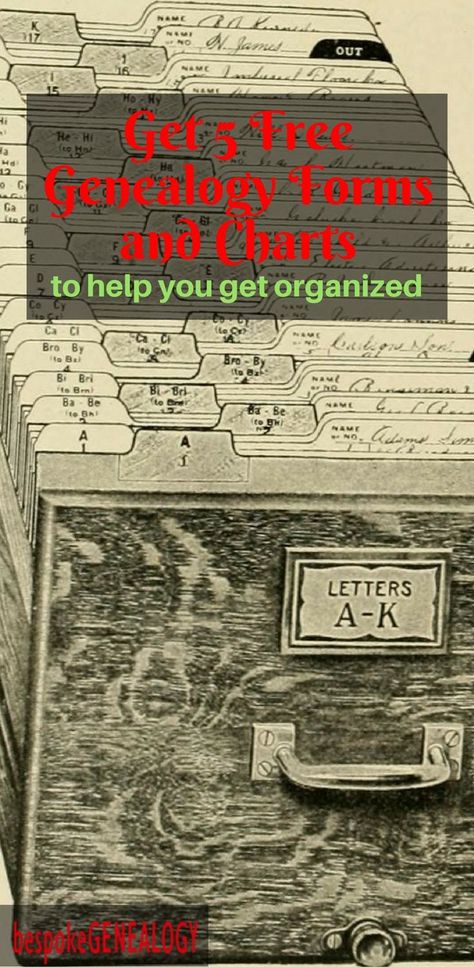 Ancestry Printables, Genealogy Binder, Genealogy Templates, Ancestry Chart, Family History Organization, Free Genealogy Sites, Genealogy Ideas, Family History Projects, Genealogy Organization