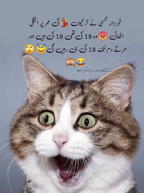 Funny Lines In Urdu, Funniest Quotes Ever Hilarious Laughing, Funny Posts In Urdu, Funniest Quotes Ever Hilarious, Alien Couple, Vimal Chandran, Funniest Quotes Ever, Funny Urdu, Funny Lines