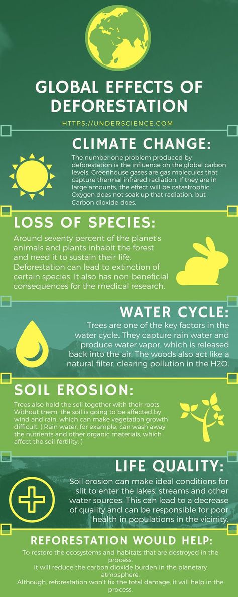 Read more at: https://underscience.com/deforestation-facts-causes-effects/ Posters On Deforestation, Albert Einstein, Nature, Deforestation Infographic Design, Poster On Deforestation, Stop Deforestation Poster, Environmental Sustainability Poster, Deforestation Poster Ideas, Deforestation Photography