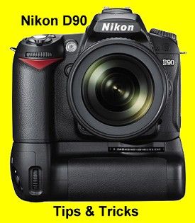 Nikon D90 Blog - D90 Everything! Nikon Camera Tips, Camera Tutorial, Nikon Lenses, Nikon Digital Camera, Nikon Lens, Digital Photography Backdrops, Nikon D90, Digital Photography School, Photography Basics