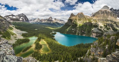 Located in Yoho National Park, Lake O'Hara is said to be the crown jewel of the Canadian Rockies (rightly so!). Tofino British Columbia, Golden Bc, Kelowna British Columbia, Yoho National Park, Lake Photos, Lake Lodge, Emerald Lake, Colorado Skiing, Mountain Bike Trails