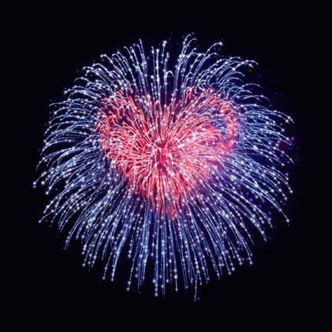 Groundhog Day Gif, Fireworks Gif, Images Emoji, Happy New Year Fireworks, Fireworks Pictures, Happy New Year Pictures, Happy New Year Gif, New Year Gif, New Year Pictures