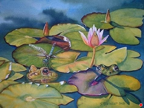 Lily Pad Drawing, Pond Watercolor, Dandelion Watercolor, Pond Drawing, Water Lilies Art, Lotus Flower Painting, Lilies Drawing, Water Lilies Painting, Pond Painting