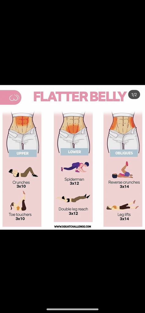 Workout For Slim Waist Flat Stomach, Flat And Toned Stomach Work Outs, Ab Workouts At Home Small Waist, Works Outs For Flat Stomach, Workouts For A Thinner Waist, Flat Lower Stomach Workout, Snatched Stomach Workout, Slim Toned Stomach Workout, Best Work Outs For Stomach