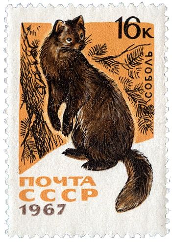 Postcard Sticker, Postage Stamp Design, Calendar Stamps, Postcard Stamps, Cat Stamp, Old Stamps, Mail Stamp, Postage Stamp Art, Post Stamp