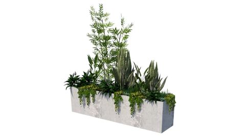 Plants For Planters, Landscape Design Drawings, Architecture Concept Diagram, Balcony Plants, Plant Box, Planter Table, Sketchup Model, Bathroom Plants, Garden Cafe