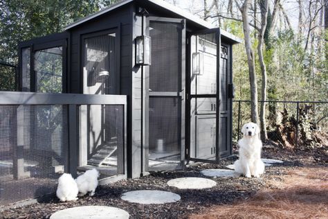 Featured in March 2016 issue... Black Chicken Coop, Happy Day Farm, Backyard Coop, Easy Chicken Coop, Black Chicken, Diy Chicken Coop Plans, Backyard Garden Layout, Farm Plans, Coop Design