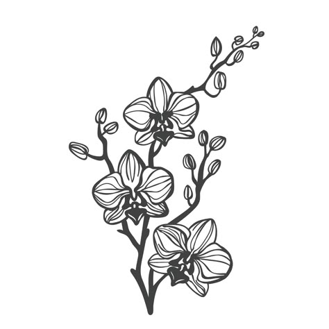 Orchid Flower Tattoo, Orchid Flower Tattoos, Black And White Flower Tattoo, Orchid Drawing, Black Line Tattoo, Orchid Tattoo, Tattoo Vector, Flower Line Drawings, Flower Art Drawing