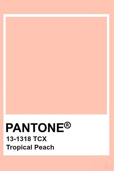 Pale Peach Color Palette, Pale Peach Paint Color, Pantone Pastel Colors, Peach Pantone, Pastel Pantone, Peach Paint Colors, Pastel Peach Color, Light Salmon Color, Peach Color Palette