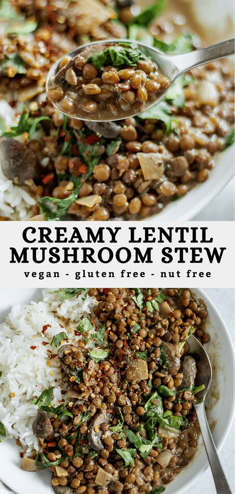 This Lentil Mushroom Stew is an easy recipe that is also rich in flavor. Made with hearty lentils, umami-packed mushrooms and creamy goodness from the tahini mixed in. Vegan, gluten-free, and made with wholesome ingredients, the perfect weeknight dinner! Lentil Low Carb Recipes, Lentils And Mushrooms, Lentil Skillet Recipes, Lentil Spinach Recipes, Lentil And Mushroom Stew, Lentil Mushroom Recipes, Lentils And Mushroom Recipe, Mushroom And Lentil Recipes, Recipes With Brown Lentils