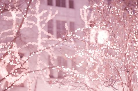 Pink Xmas Lights, Pink Christmas Aesthetic Wallpaper Laptop, Pink Christmas Computer Wallpaper, Light Pink Christmas Aesthetic, Pink Fall Aesthetic Wallpaper, Pink Holiday Aesthetic, Christmas Pink Aesthetic, Pink Winter Aesthetic, Light Pink Christmas