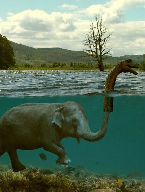 Silly Humans, They Believe Anything… Funny Commercial Ads, Sneak Attack, Funny Commercials, Loch Ness Monster, Elephant Love, Digital Art Illustration, An Elephant, صور مضحكة, Pics Art