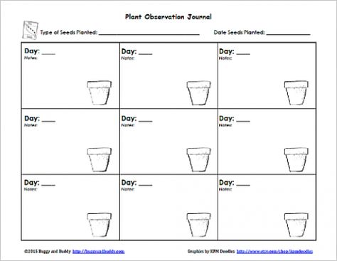 free printable sprout observation sheet for kids Plant Growth Chart, Plant Journal Template, Gardening With Kids, Planting For Kids, Plant Journal, Plant Life Cycle, Science Journal, Plant Science, Kindergarten Science