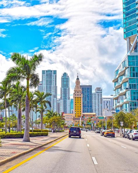 Driving on Biscayne Boulevard in Downtown Miami  Whats the Way to Your Heart?   @miamituristico   #biscayneblvd #downtownmiami #miamiskyline #miami #palmtrees #paradisecity #exploremiami #florida First Day Of September, Miami Photos, Miami Skyline, Paradise City, Downtown Miami, Magic City, Beautiful Streets, City Scene, Usa Travel Destinations