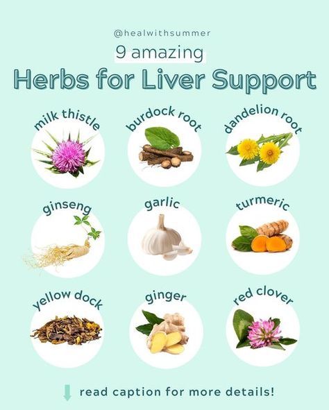 Root Cause Nutritionist, Gut Health & Holistic Detox ⚡️ on Instagram: "🌿 BEST HERBS FOR LIVER SUPPORT! 👉🏼 PS: if you missed the first two posts in my liver health series, make sure to check those out too! 🤍 Herbs are one of my favorite ways to gently support the liver, especially if someone is sensitive to stronger supplements or in the drainage phase of detoxing. ✨ My favorite ways to incorporate these herbs are fresh with meals, brewed teas (@mountainroseherbs is my fav for loose leaf, @tr Herbs For Liver, Liver Foods, Liver Fibrosis, Liver Herbs, Gallbladder Health, Dercums Disease, Cleansing Foods, Liver Tonic, Liver Cleanser