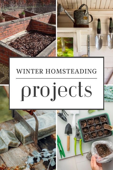 cold frames, cold-tolerant crops, creative projects, firewood harvesting, garden layout planning, gardening season, homemade candles, homemade soaps, homesteading knowledge, homesteading skills, indoor hydroponics, indoor seed starting, off-season productivity, seasonal preparation, Self Sufficiency, Sustainable Farming, Tool maintenance, tool repair, Winter Activities, winter homesteading projects The Seasonal Homestead, Self Sufficient Skills, Winter Homestead Aesthetic, Winter Homestead Projects, Home Steading Aesthetic, Indoor Homesteading, Homesteading For Beginners Small Spaces, Home Steading Ideas, Vegan Homesteading