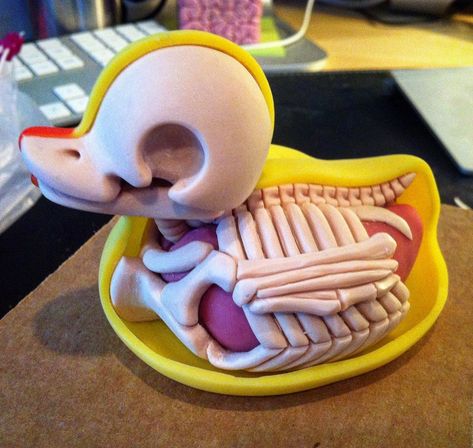 Duck Anatomy, Sculpting Ideas, Sculpting Clay, Rubber Duck, The Oven, Anatomy, Sugar Cookie, Polymer Clay, Oven