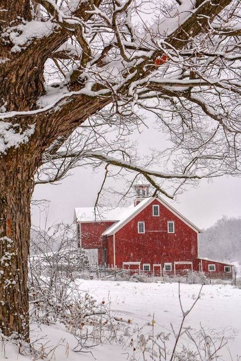 Dr Pol, Canadian Quilts, Winter Stickers, Beautiful Winter Scenes, American Barn, Barn Pictures, Country Barns, Barn Painting, Winter Cabin