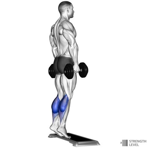 Calf Raises Workout, Calf Workout, Standards For Men, Standing Calf Raise, Andrew Huberman, Workout Wednesday, Calf Exercises, Wednesday Workout, Calf Raises