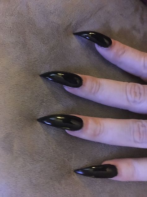 Black claws stiletto nails Claw Nails Stilettos, Raven Claw Nails, Curved Stiletto Nails, Fang Nails, Clawed Hands, Talon Nails, Black Stiletto Nails, Black Claws, Sharp Nails