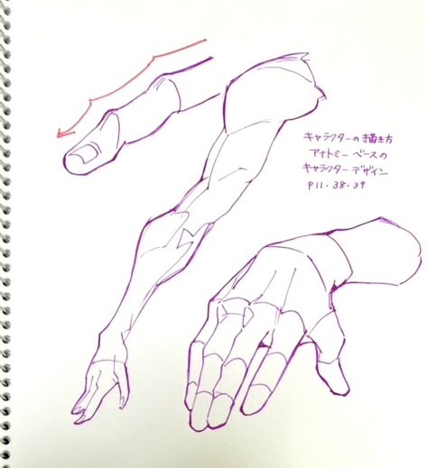 Arm Anatomy Drawing, Anatomy Drawing Tutorial, Arm Anatomy, Anatomy Tutorial, Body Drawing Tutorial, Human Anatomy Drawing, Hand Drawing Reference, Human Anatomy Art, Anatomy Sketches