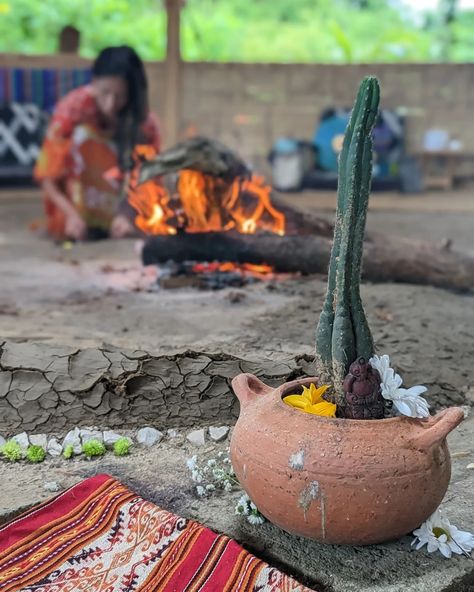 Sweat Lodge, Heart Opening, Plant Medicine, Space Pictures, Travel South, South America Travel, March 1, Medicinal Plants, Dream Board