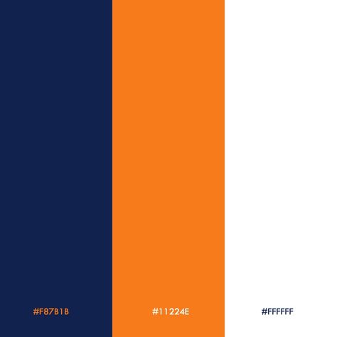 Blue Orange White Color Palette, Orange And Blue Colour Palette, Blue Orange Colour Palette, Orange And Blue Logo, Blue And Orange Palette, Orange Colour Combination, Blue And Orange Color Scheme, 3 Color Palette, Flat Color Palette