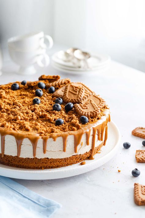 This easy no bake dessert is perfect for Biscoff lovers! No Bake Biscoff Cheescake comes together quickly and is the perfect treat Cheesecake Easy No Bake, No Bake Biscoff Cheesecake, No Bake Biscoff, Cake Decorated With Fruit, Cheesecake Decoration, Lazy Cake, Cheesecake Easy, Biscoff Recipes, Biscoff Cake