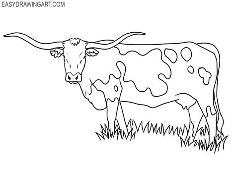 realistic longhorn drawing How To Draw A Longhorn, Longhorn Drawing, Simple Longhorn Drawing, Long Horn Drawing, Longhorn Sketch, Long Horn Drawing Simple, Longhorn Doodle, Long Horn Drawing Art, Longhorn Outline