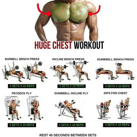 13.3k Likes, 180 Comments - Menswear Guide (@mensweartutorial) on Instagram: “Ultimate Chest Workout ✅ ⠀ Follow us (@mensweartutorial) for the best daily menswear tips ✨ ⠀ …” Fitness Training Plan, Chest Workout For Men, Latihan Dada, Best Chest Workout, Barbell Workout, Step Workout, Planet Fitness, Weight Training Workouts, Gym Routine