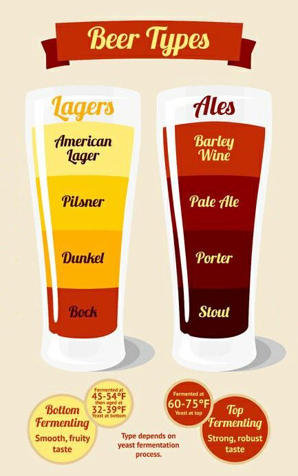 Beer Facts, Beer Types, Beer Illustration, Beer Time, Ale Beer, All Beer, Lager Beer, What Is The Difference Between, Fermenting