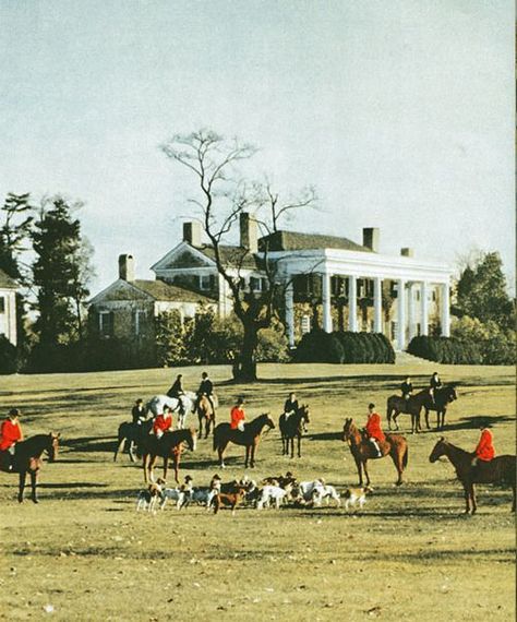 English Country Manor, Hunt Scene, Virginia Is For Lovers, Equestrian Decor, Hunter Jumper, Fox Hunting, Equestrian Riding, Horses And Dogs, Equestrian Life