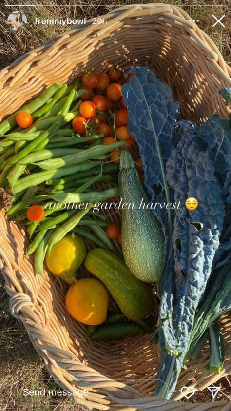 Harvest Basket, Future Farms, Farm Lifestyle, Garden Life, Garden Harvest, Garden Inspo, Food Garden, Plant Mom, Veggie Garden