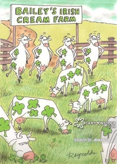 It used to be a dairy farm, but now the milk produces therapeutic proteins, and the eggs contain antibiotics. Description from cartoonstock.com. I searched for this on bing.com/images Irish Jokes, St Patricks Day Quotes, Erin Go Bragh, Irish Quotes, Baileys Irish, Farm Cow, Irish Funny, Baileys Irish Cream, Irish Heritage