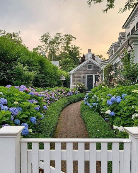 Nantucket Gardens, Nantucket Summer, Aged Care, Safe Harbor, White Picket Fence, Casa Exterior, House Landscape, Picket Fence, Pretty House