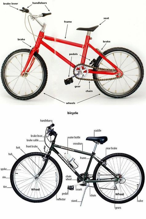 A bicycle, also called a cycle or bike, is a human-powered, pedal-driven, single-track vehicle, having two wheels attached to a frame, one behind the other ... Picture Dictionary, English Vocab, Learn Faster, English Tips, Grammar And Vocabulary, Bicycle Parts, Learn English Vocabulary, Education English, Learn English Words