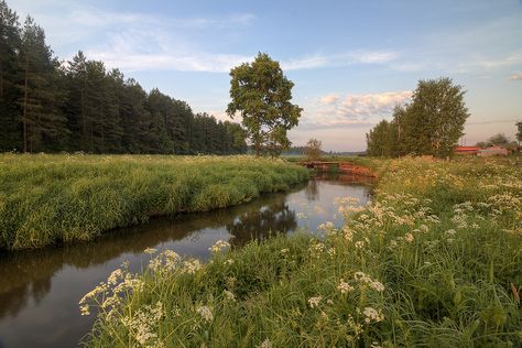 Horizontal Landscape Aesthetic, Green Aesthetic Landscape, Nature Aesthetic Landscape, Nature Horizontal, Aesthetic Trees, Wild Landscape, Landscape Aesthetic, Grass Landscape, Aesthetic Landscape